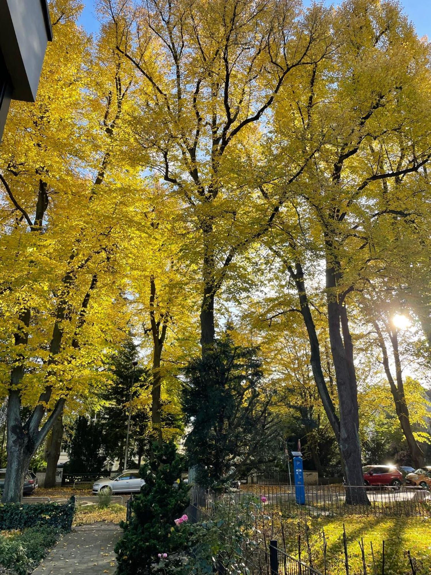 Aparthotel Stadtpark Любек Экстерьер фото